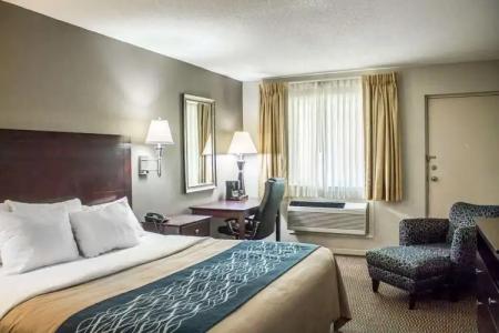 Comfort Inn Sandusky - 27