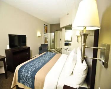 Comfort Inn Sandusky - 35