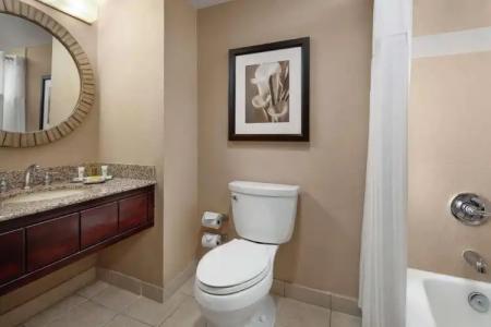 Hilton Orlando Lake Buena Vista - Disney Springs™ Area - 45