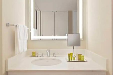 Hilton Orlando Lake Buena Vista - Disney Springs™ Area - 13