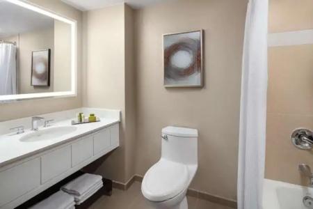 Hilton Orlando Lake Buena Vista - Disney Springs™ Area - 50