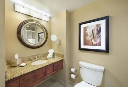 Hilton Orlando Lake Buena Vista - Disney Springs™ Area - 14