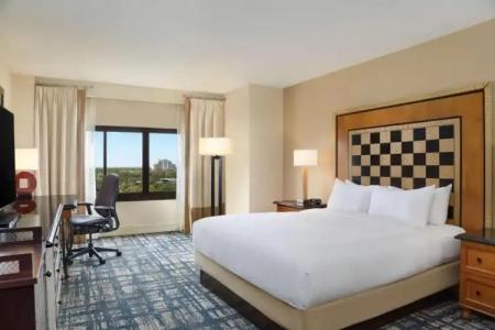 Hilton Orlando Lake Buena Vista - Disney Springs™ Area - 2