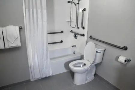 Wyndham Garden Lake Buena Vista Disney Springs® Resort Area - 101