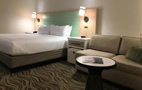 Wyndham Garden Lake Buena Vista Disney Springs® Resort Area - 105