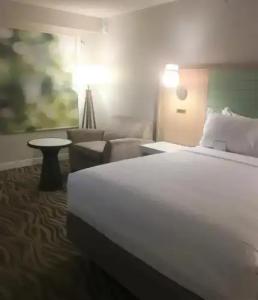 Wyndham Garden Lake Buena Vista Disney Springs® Resort Area - 108