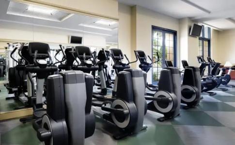 Walt Disney World Swan - 24