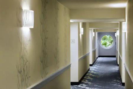 Walt Disney World Swan - 10