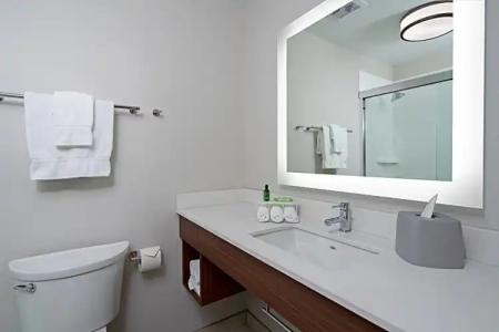 Holiday Inn Express Seattle - Sea-Tac Airport, an IHG - 65