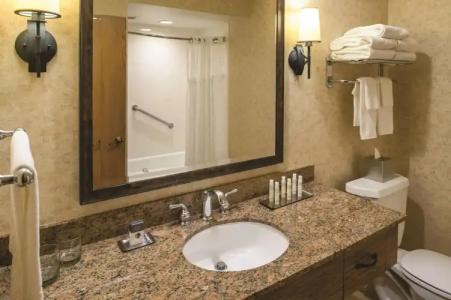 DoubleTree by Hilton Seattle Airport - 9