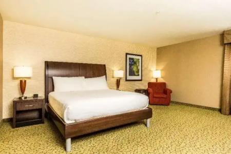 Hilton Garden Inn St. George - 49