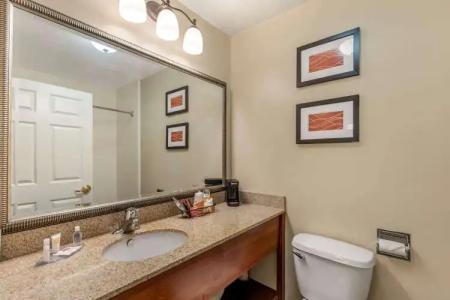 Comfort Inn Saint George North - 80