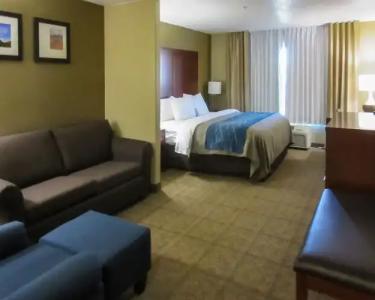 Comfort Inn Saint George North - 44