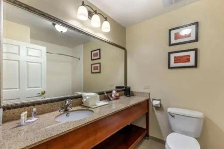 Comfort Inn Saint George North - 52