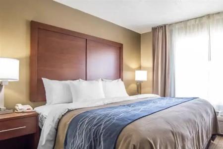 Comfort Inn Saint George North - 3