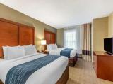 Quadruple Suite