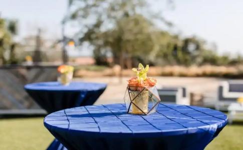 Sheraton Carlsbad Resort & Spa - 12