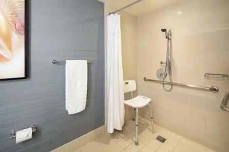 Sheraton Carlsbad Resort & Spa - 72