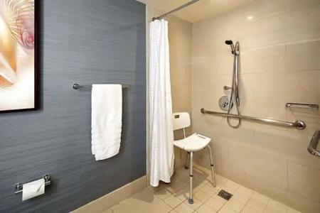 Sheraton Carlsbad Resort & Spa - 80