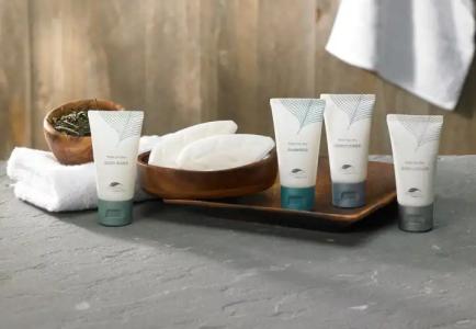 Sheraton Carlsbad Resort & Spa - 62