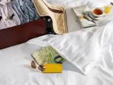 Executive Double Suite