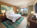 1 Bedroom Executive Suite with balcony