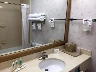 Quality Inn & Suites Near University - 58