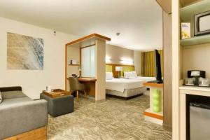 SpringHill Suites McAllen, McAllen