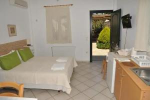 Handakas Studios, Andros