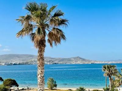 Paradiso Boutique - 60