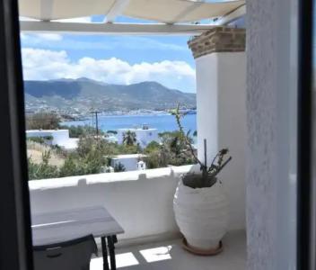 Paradiso Boutique - 74