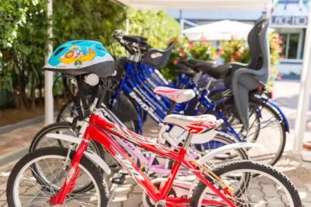 Palace Magnolia SPA - 17