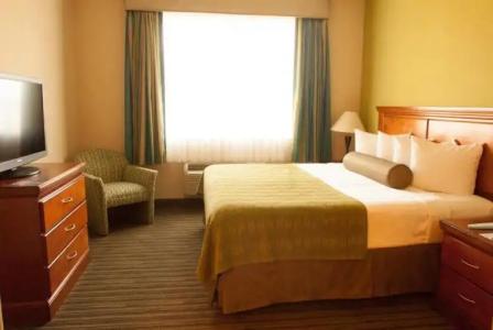 Best Western Plus Miami-Doral/Dolphin Mall - 31