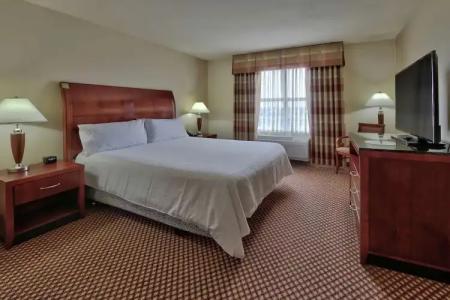 Hilton Garden Inn Las Cruces - 52