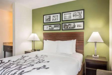Sleep Inn Kansas City International Airport - 3