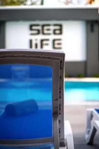 Sealife Lounge - Adult only - 9