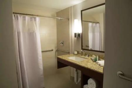 Hilton Kansas City Airport - 97