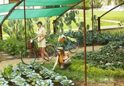 JW Marriott Phoenix Desert Ridge Resort & Spa - 30