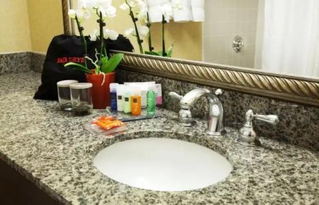 Radisson Phoenix Airport - 7