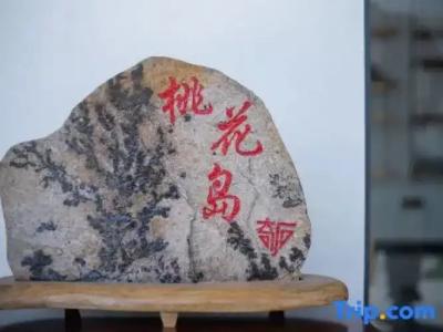 Sheraton Grand Mirage Resort Gold Coast - 55