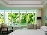 1 Bedroom Suite with view