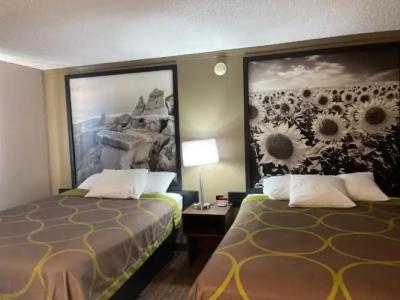 Super 8 by Wyndham Bismarck - 92