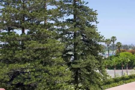 del Coronado, Curio Collection by Hilton - 200