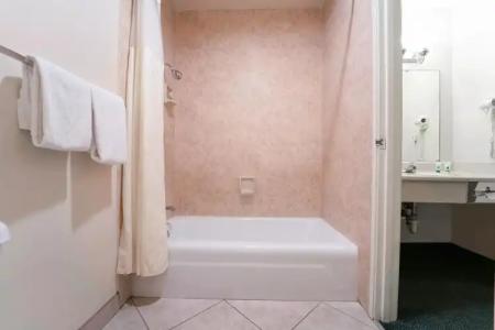 Royal Plaza Inn - 40