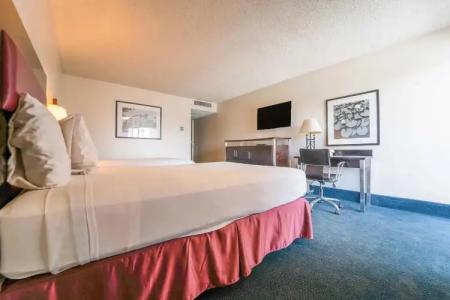 Royal Plaza Inn - 33