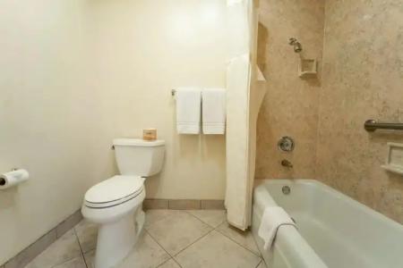 Royal Plaza Inn - 45