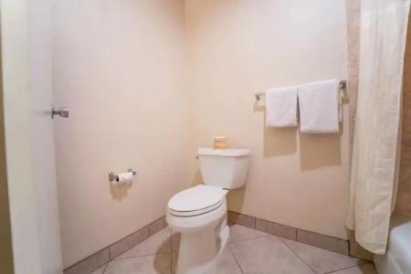 Royal Plaza Inn - 22