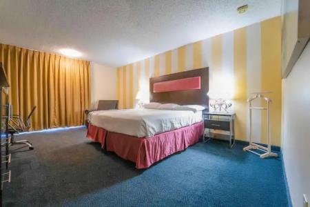 Royal Plaza Inn - 29