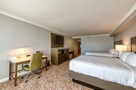 Amanzi, Ascend Collection - 100