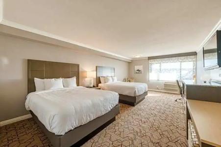 Amanzi, Ascend Collection - 98